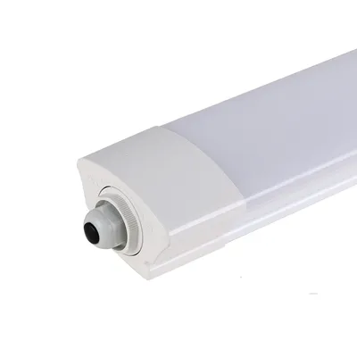 2021 New LED Waterproof Dustproof Tri-Proof Light