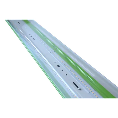 Green Base CCT Switchable IP65 Ik08 Tri-Proof Waterproof Dust-Proof Light