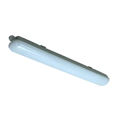 IP65 Waterproof LED Tri-Proof Light