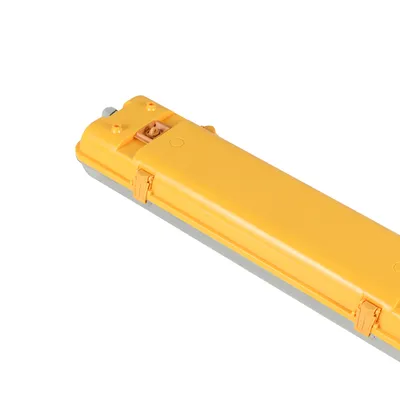 Model Fe03 IP65 Ik08 Water-Proof LED Light with CE