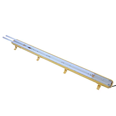 Model Fe03 IP65 Ik08 Water-Proof LED Light with Yellow Base