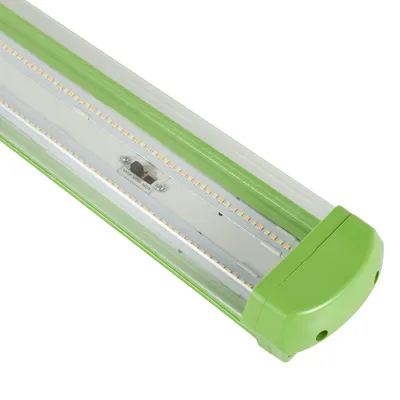 Plant Light IP65 Waterproof Light CCT Switchable
